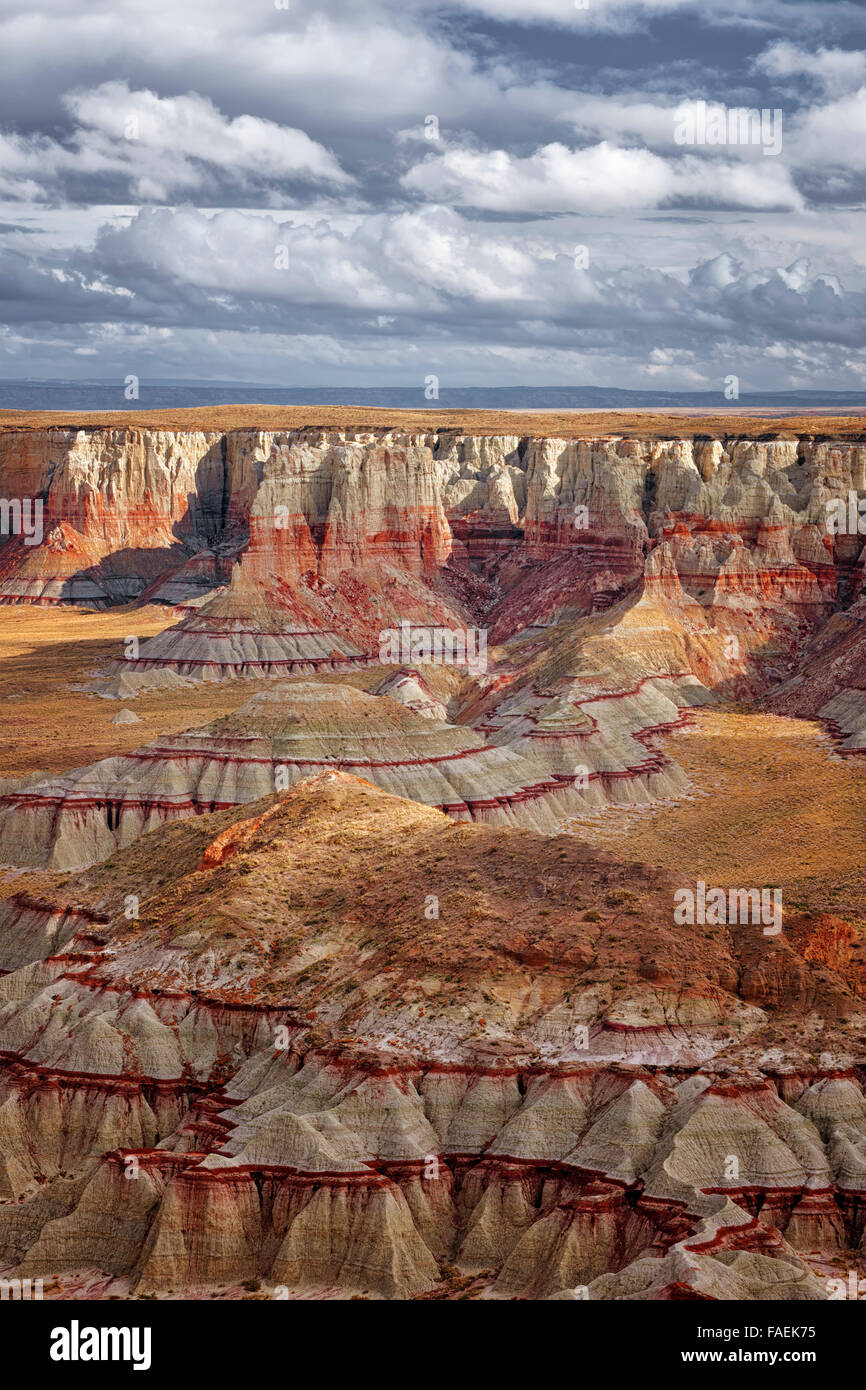 Les orages et sun breaks sur ces terres éloignées à Hopi spectaculaire Ha Ho No Geh Canyon dans l'Arizona, Coconino Comté. Banque D'Images