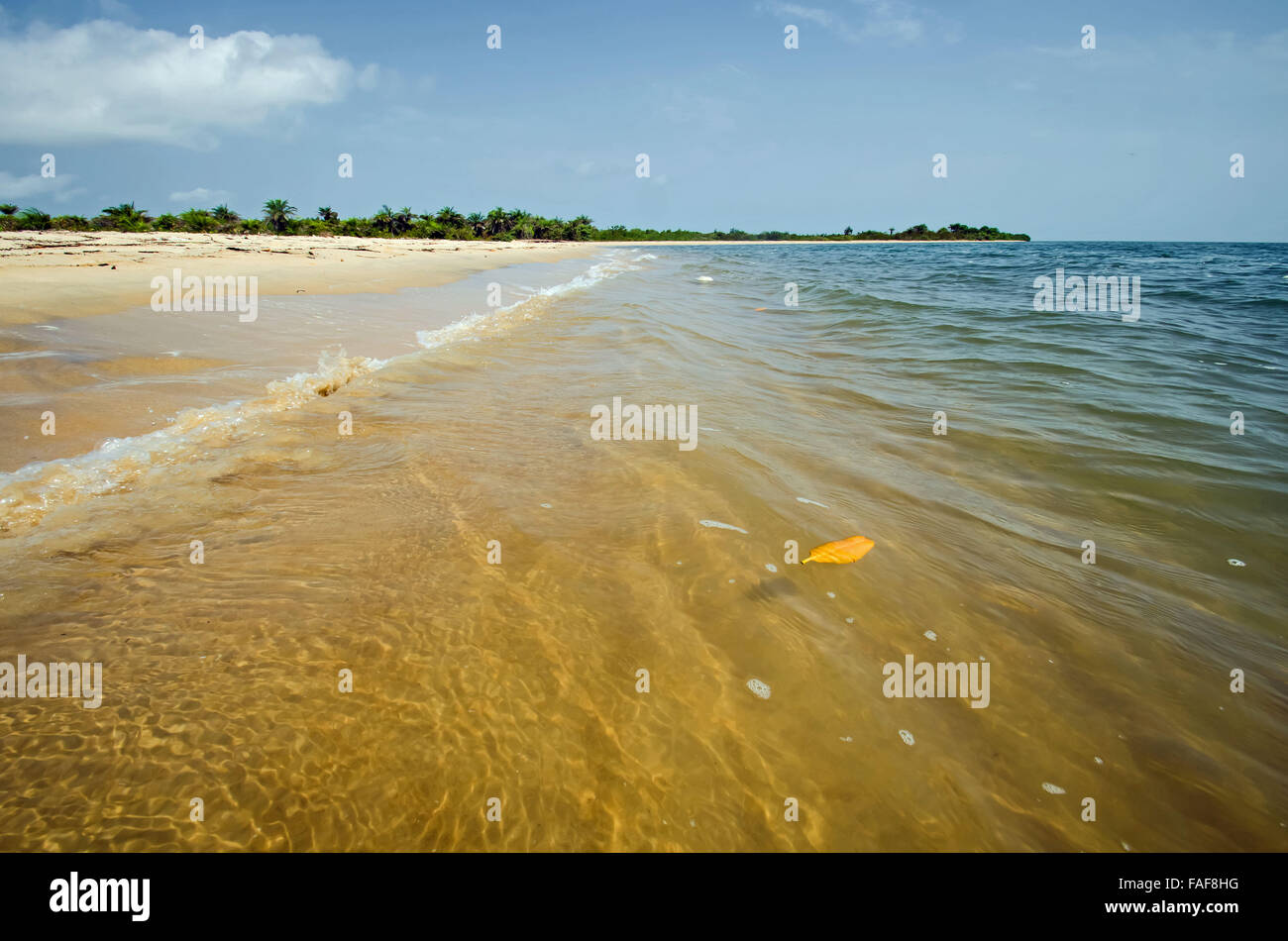 Plage déserte dans les îles des Tortues, de la Sierra Leone. Banque D'Images