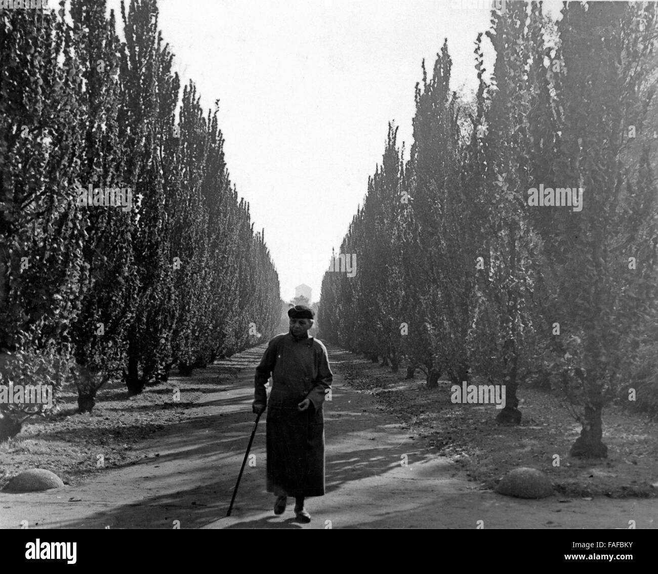 Eine Frau spaziert durch eine Allee, Deutschland 1930er Jahre. Un sage femme se promenant dans une ruelle, Allemagne 1930. Banque D'Images