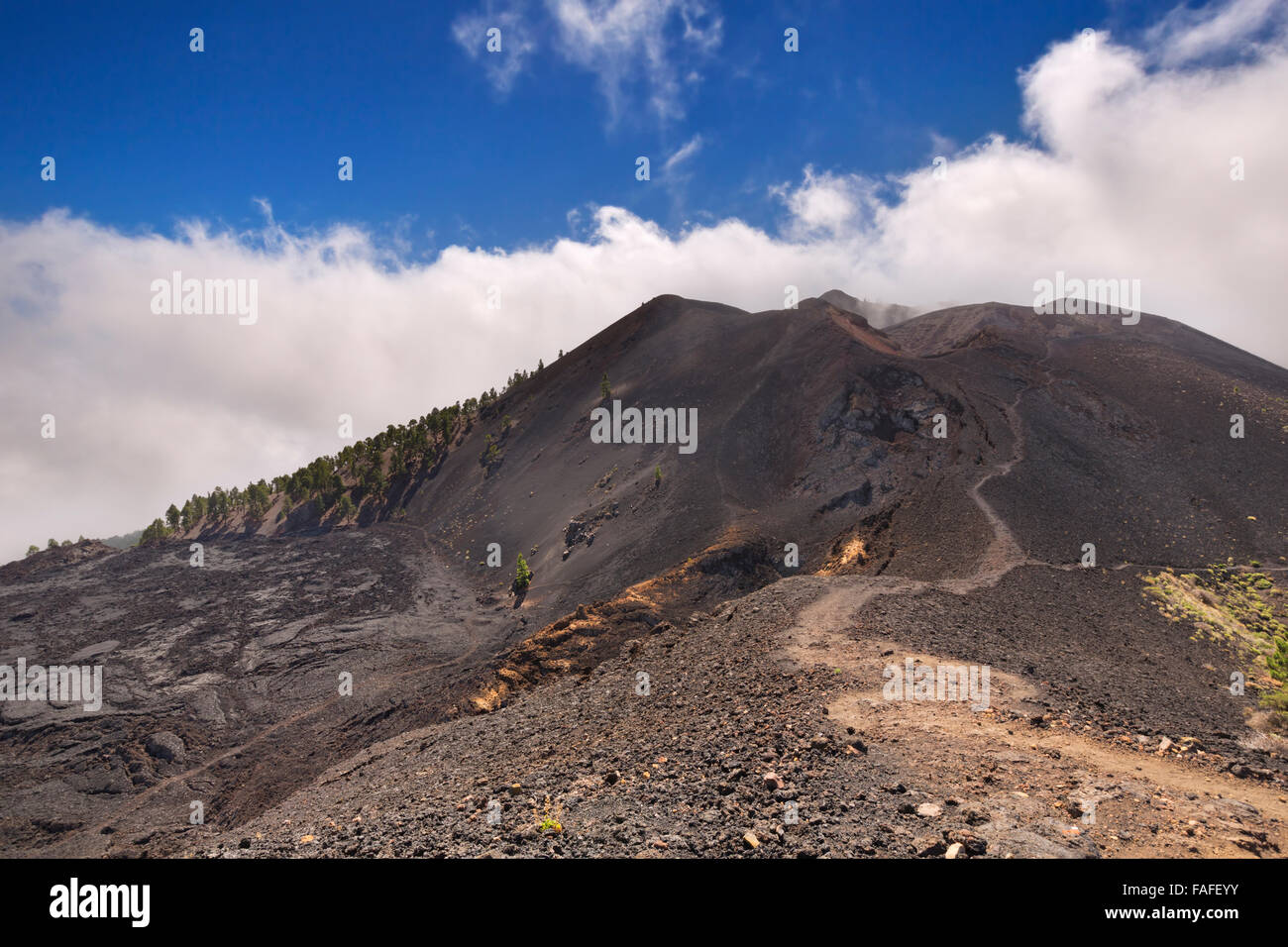 Paysage volcanique le long de la Ruta de los Volcanes sur La Palma, Îles Canaries, Espagne. Banque D'Images