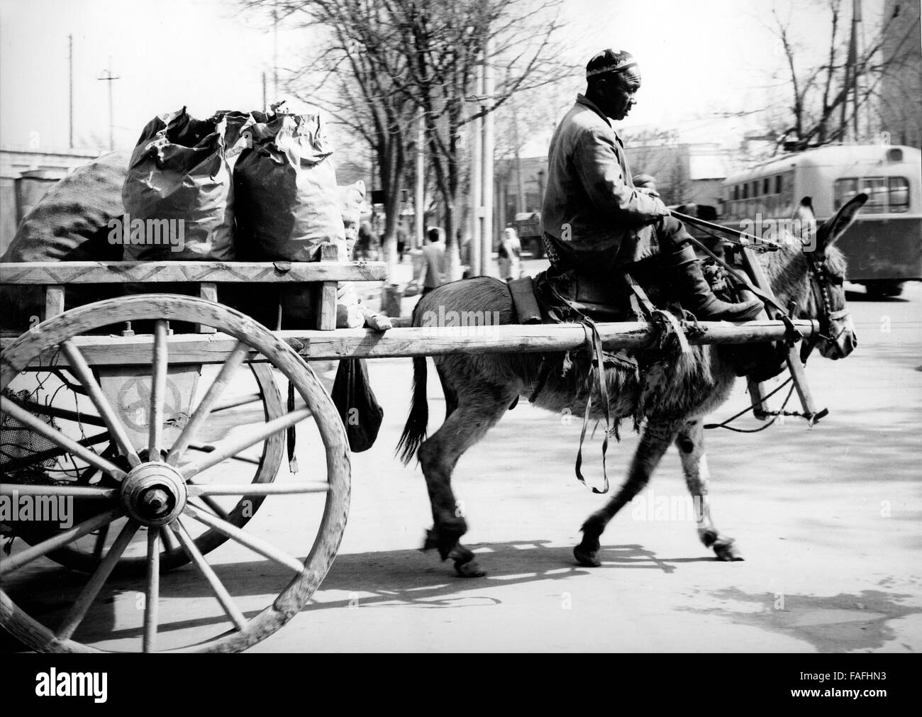 Ein Mann auf seinem Eselskarren à Samarcande en Ouzbékistan, Sowjetunion 1970 er Jahre. Un homme sur son âne dans les rues de Samarkand, Ouzbékistan, Union soviétique, 1970. Banque D'Images