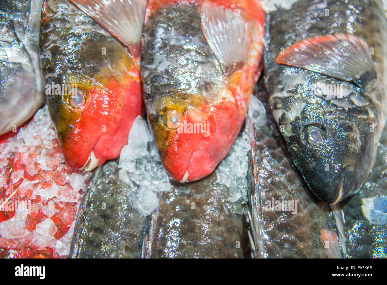 Poisson frais de la mer d'argent sur la glace au cours du marché Banque D'Images
