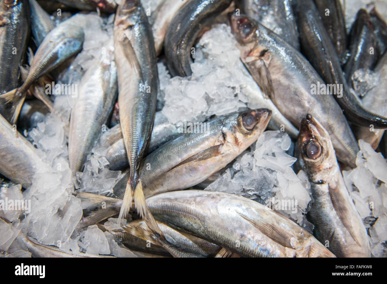Poisson frais de la mer d'argent sur la glace au cours du marché Banque D'Images
