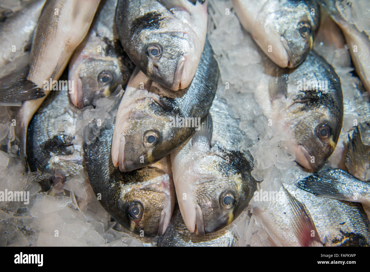 Poisson frais de la mer d'argent sur la glace au cours du marché Banque D'Images