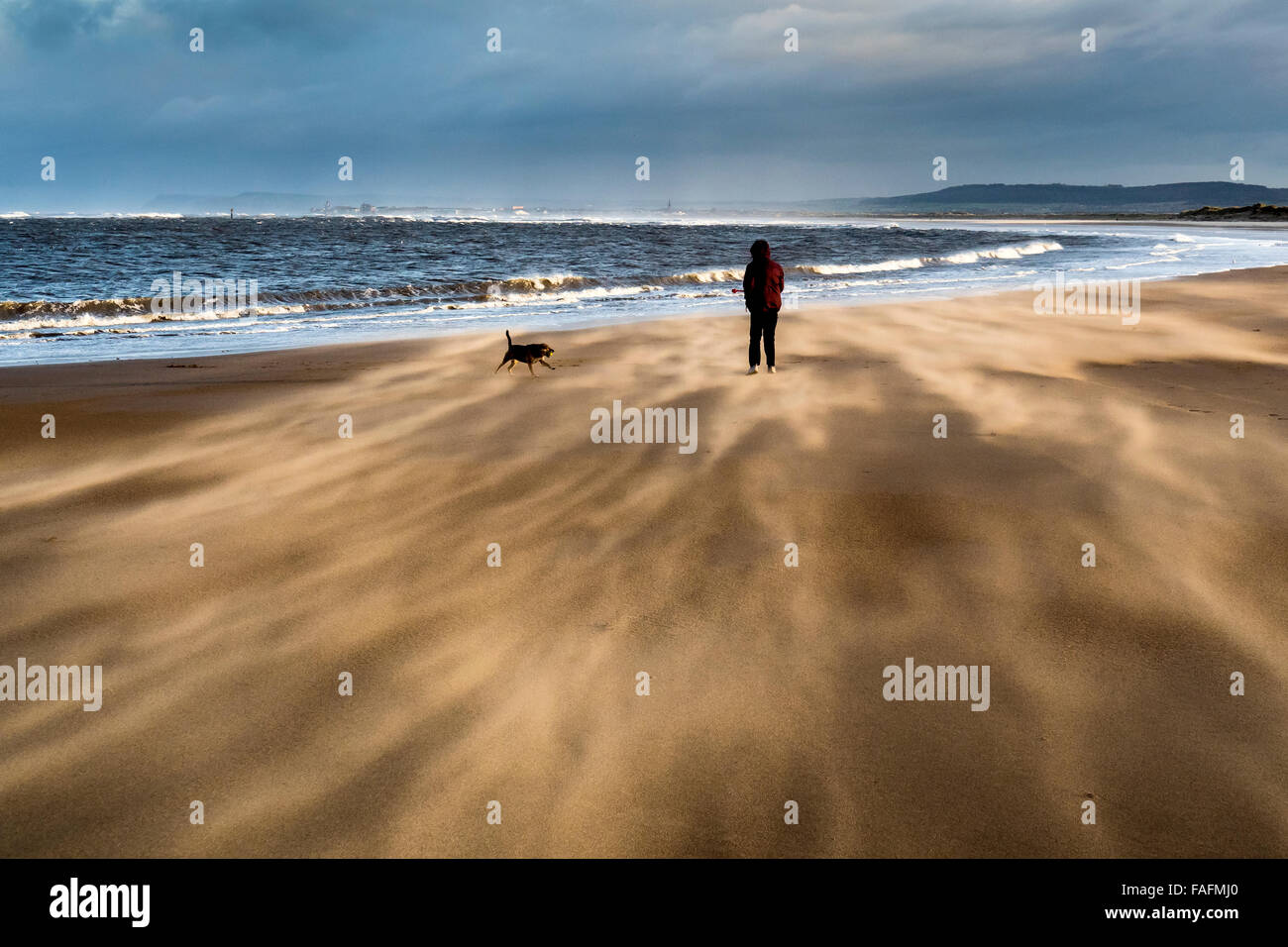 Femme et chien sur Plage avec sable Banque D'Images