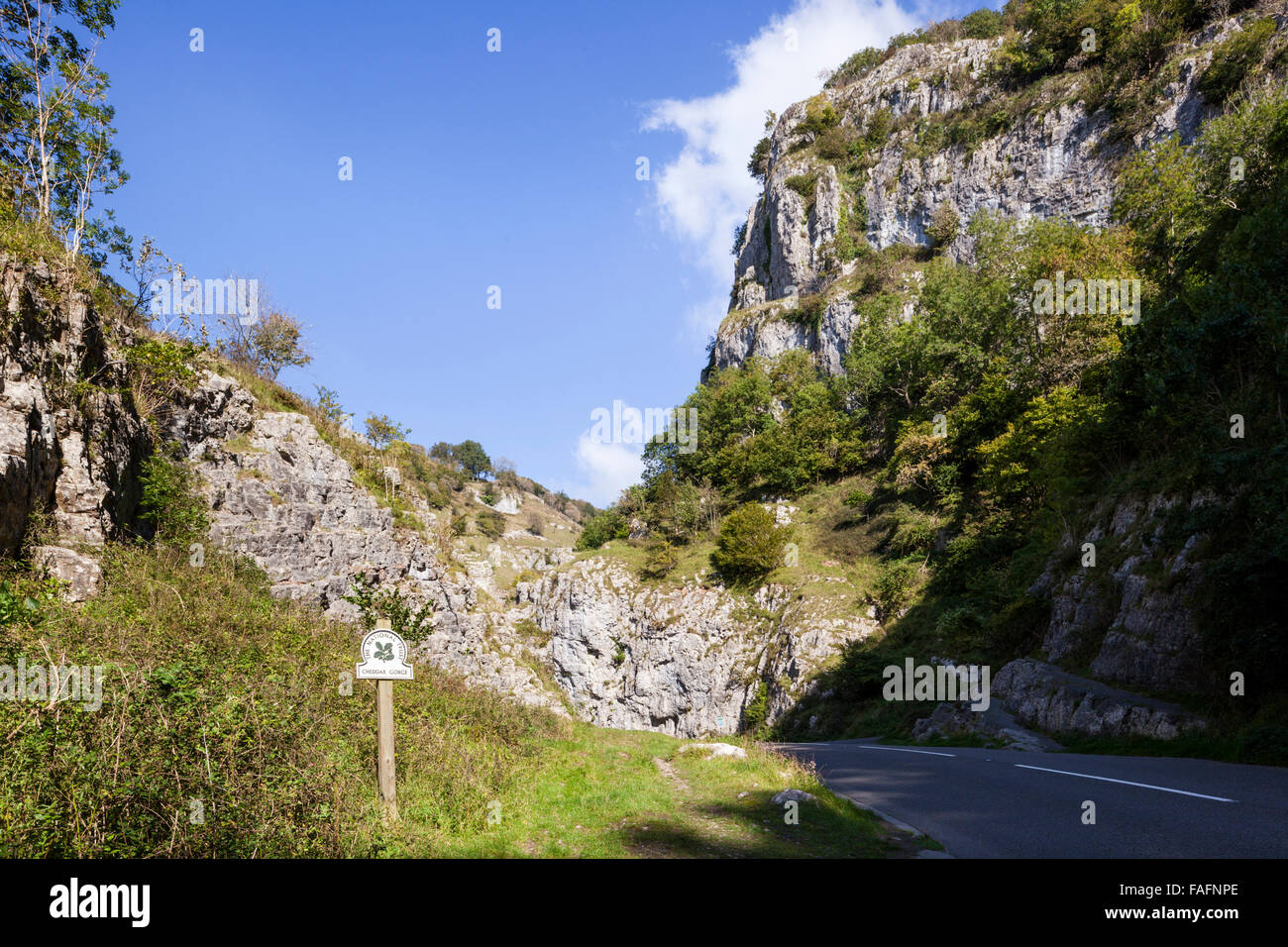 Les gorges de Cheddar - une gorge de calcaire dans les collines de Mendip, cheddar, Somerset UK Banque D'Images