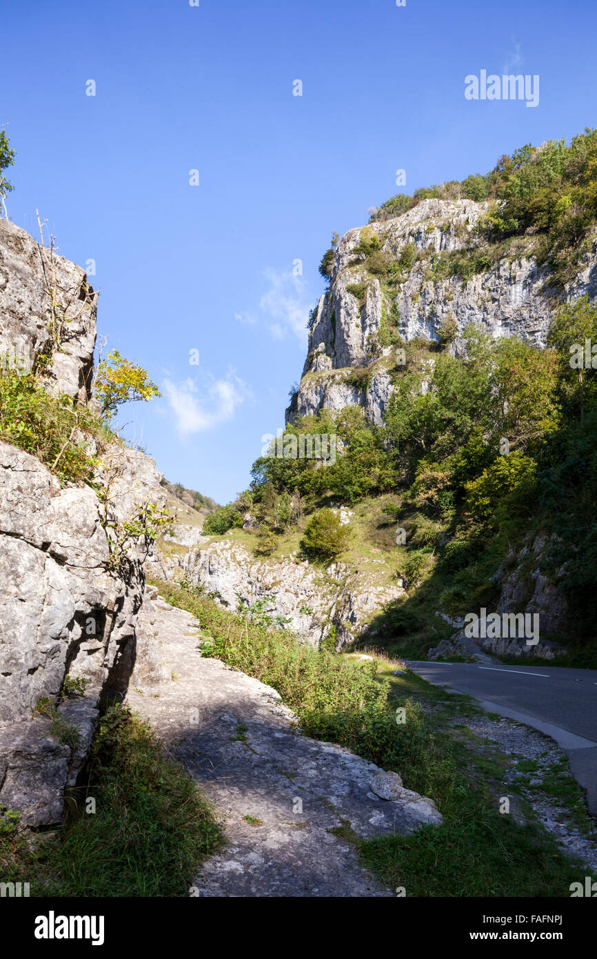 Les gorges de Cheddar - une gorge de calcaire dans les collines de Mendip, cheddar, Somerset UK Banque D'Images