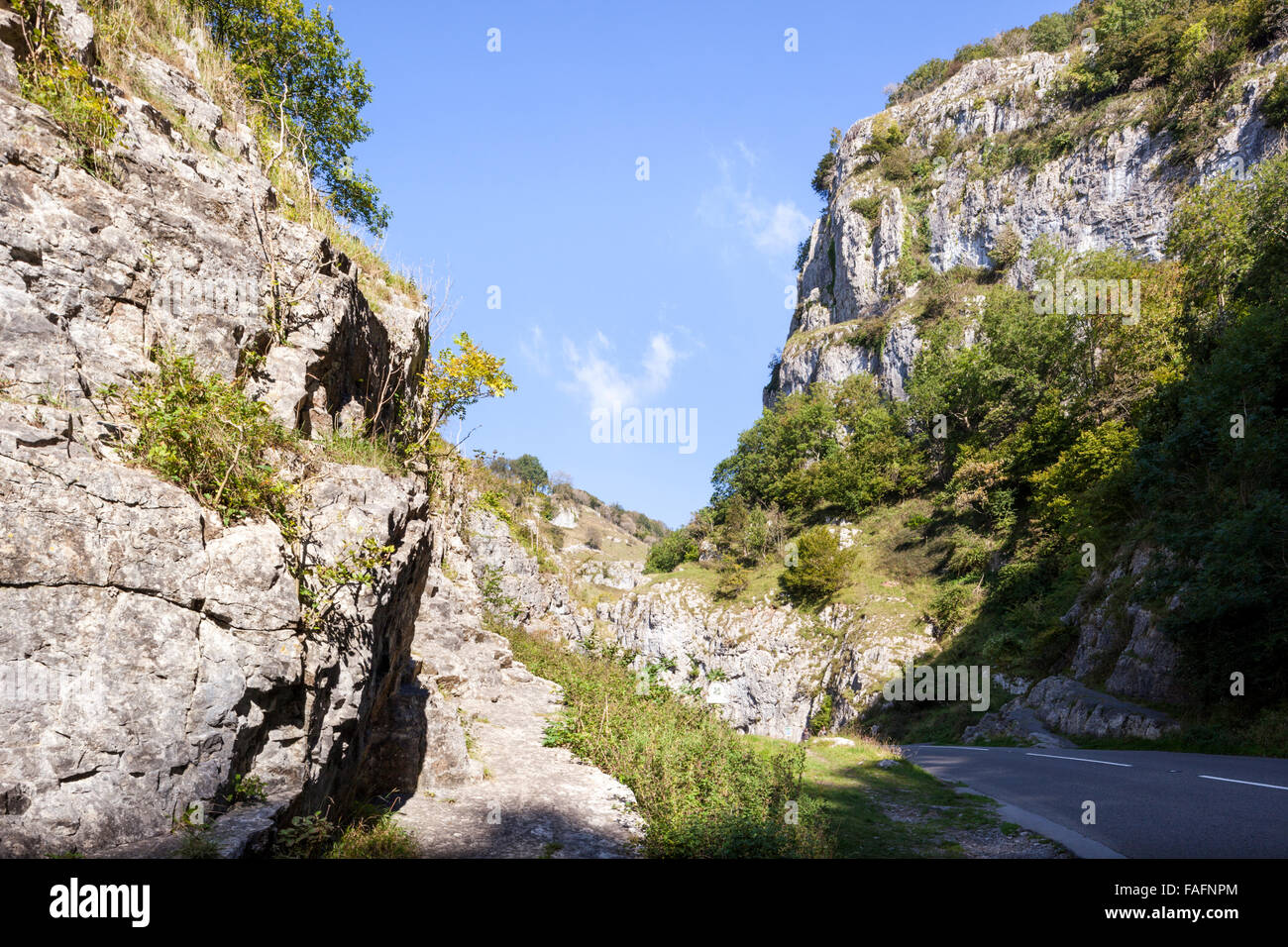 Les gorges de Cheddar - une gorge de calcaire dans les collines de Mendip, cheddar, Somerset UK Banque D'Images