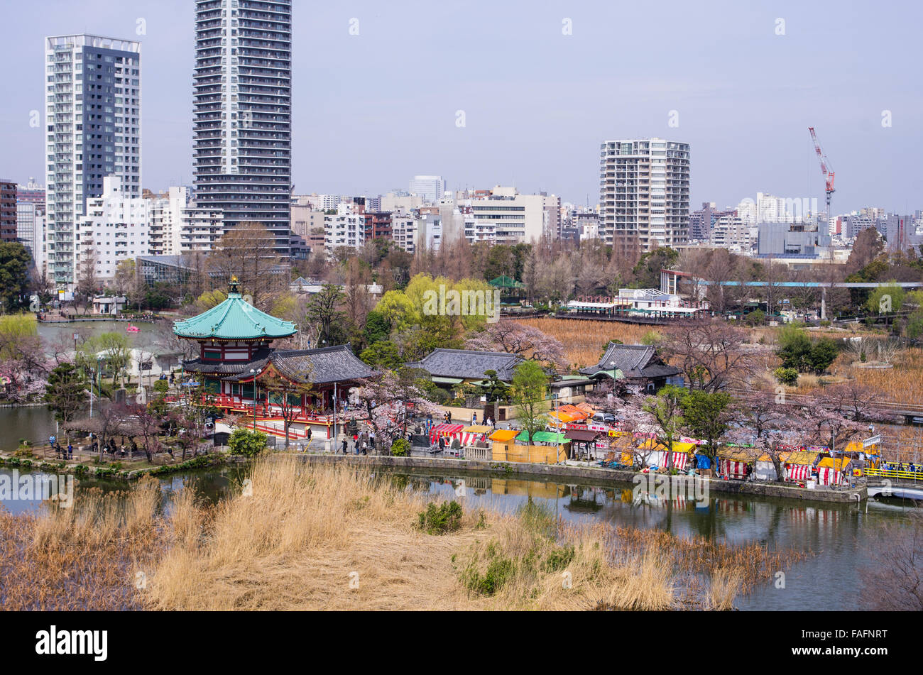 Bentendo avec bassin Shinobazu à Ueno Park, Tokyo pendant la saison des cerisiers en fleur avec un petit festival sur le terrain Banque D'Images