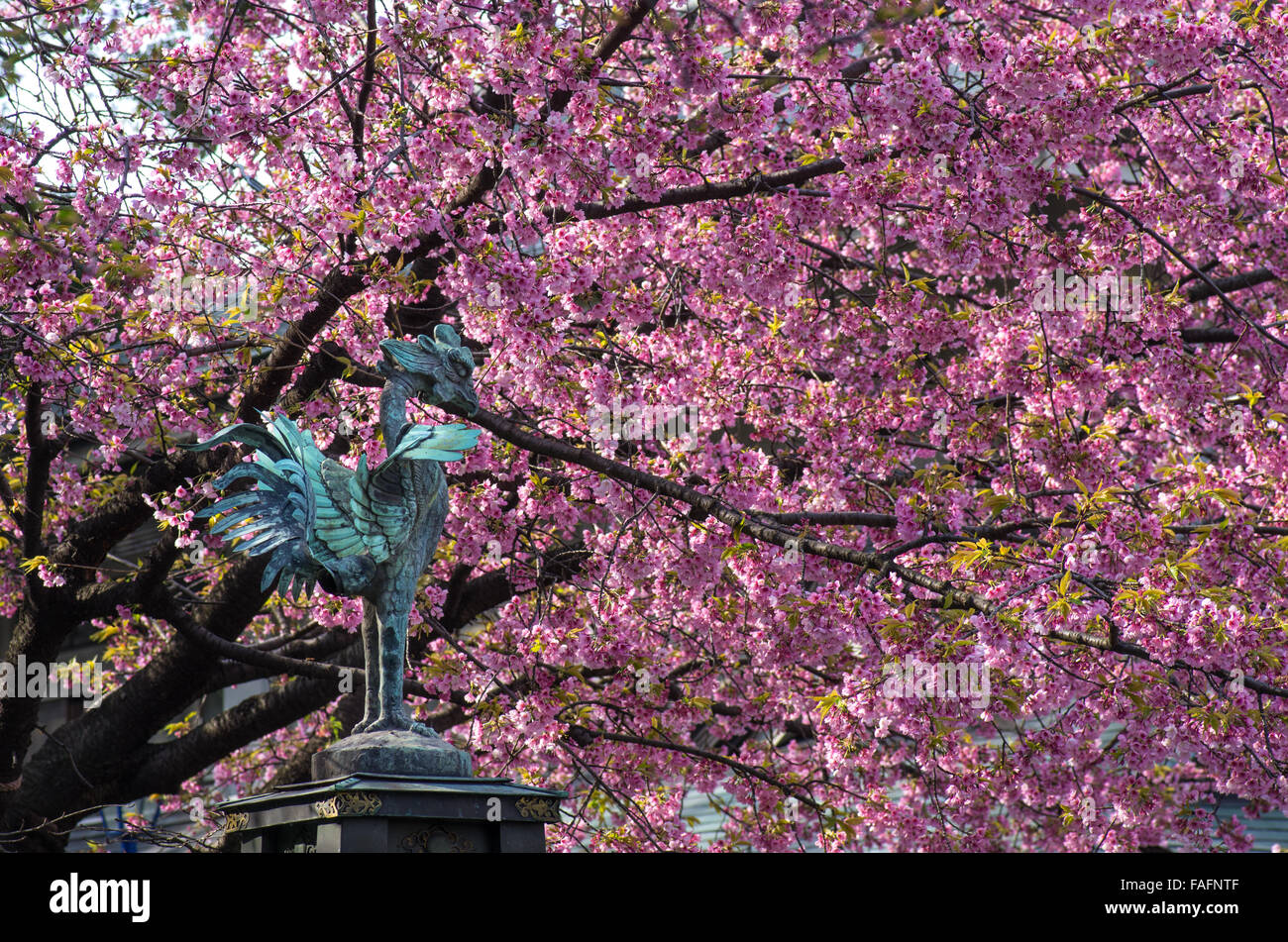 Statue à Gojoten Phoenix de culte à Ueno Park parmi les fleurs de cerisier, Tokyo Japon Banque D'Images