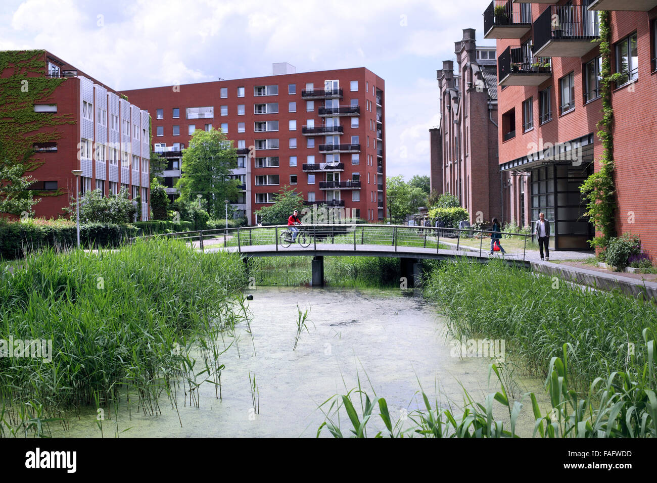 Un pont piétonnier à travers un étang dans GWL-terrein, un car-free housing development à Amsterdam. Banque D'Images