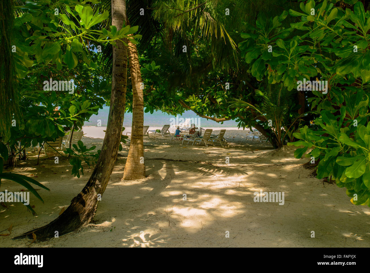 Chemin d'accès à la plage, Biyahdoo Island, Maldives, océan Indien Banque D'Images