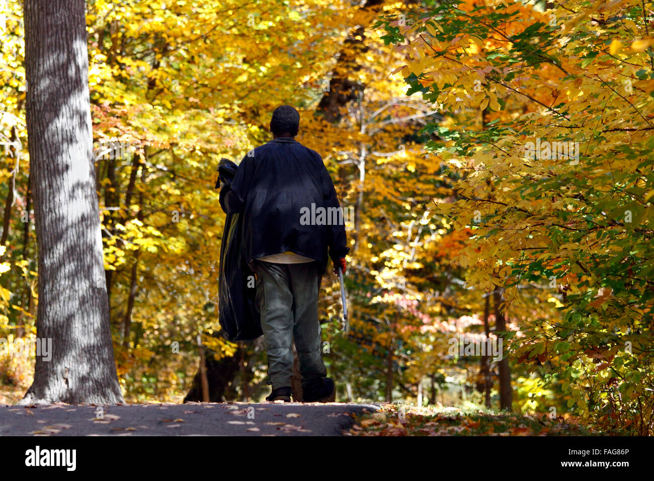 Homme marchant sur le sentier Tibbetts Brook Park Yonkers, New York Banque D'Images