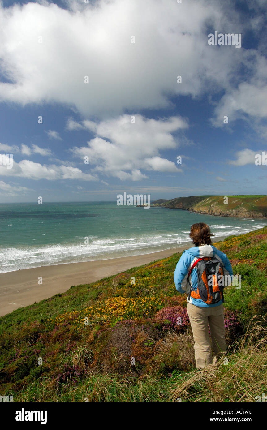 Femme Walker et les chiens sur la côte. Plage Newgale et St.Brides Bay.Galles Pembrokeshire Coast National Park au Royaume-Uni. Banque D'Images