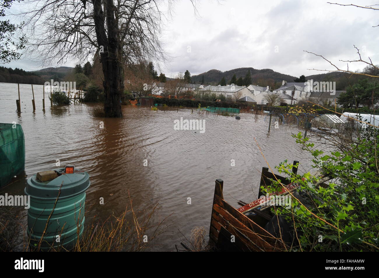 Dunkeld, Perthshire, Écosse, Royaume-Uni. Des inondations locales pendant les Frank. Credit : Cameron Cormack/Alamy Live News Banque D'Images