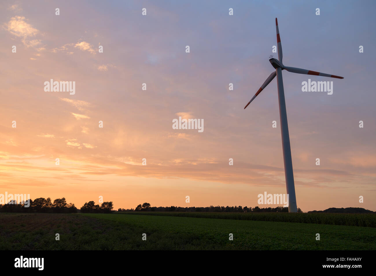 Photographie d'éoliennes pendant le coucher du soleil dans le Nord de l'Allemagne. Banque D'Images