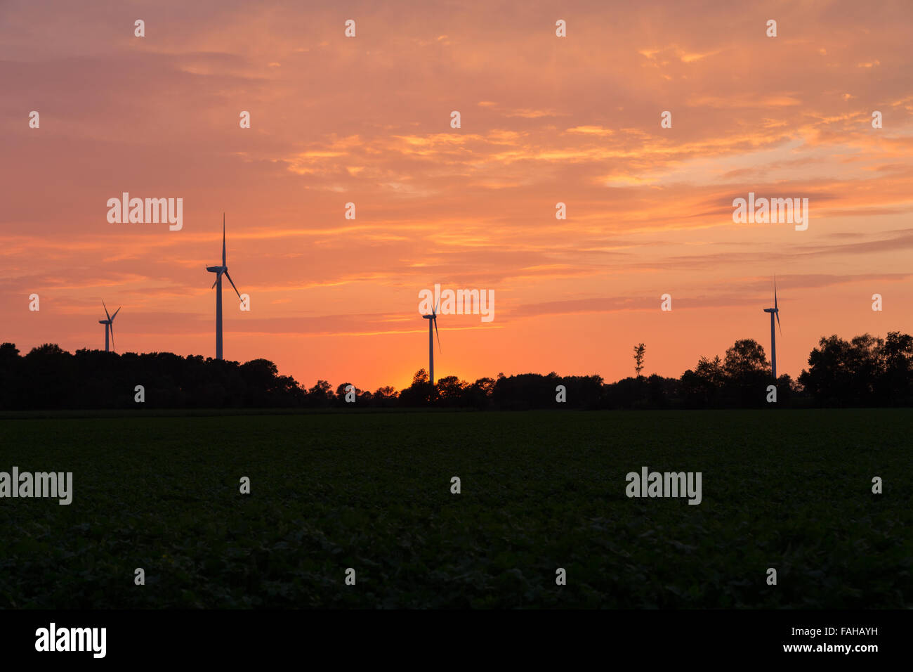 Photographie d'éoliennes pendant le coucher du soleil dans le Nord de l'Allemagne. Banque D'Images