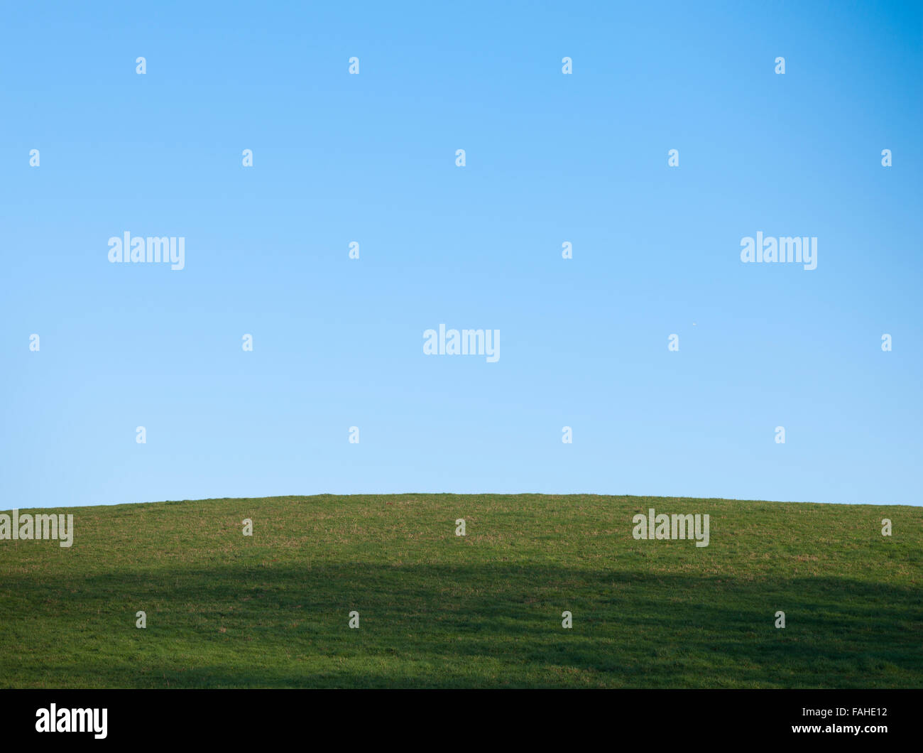 Pré Vert avec ciel bleu dans la campagne anglaise Banque D'Images