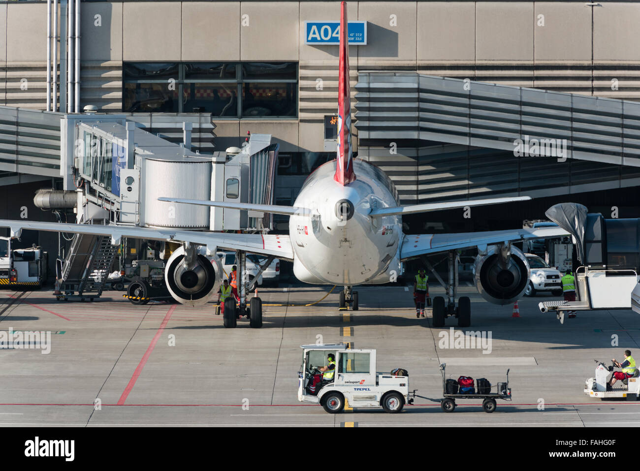 Un Airbus A320 de la compagnie charter Suisse Edelweiss est stationné à la porte A04 de l'aéroport international de Zurich. Banque D'Images