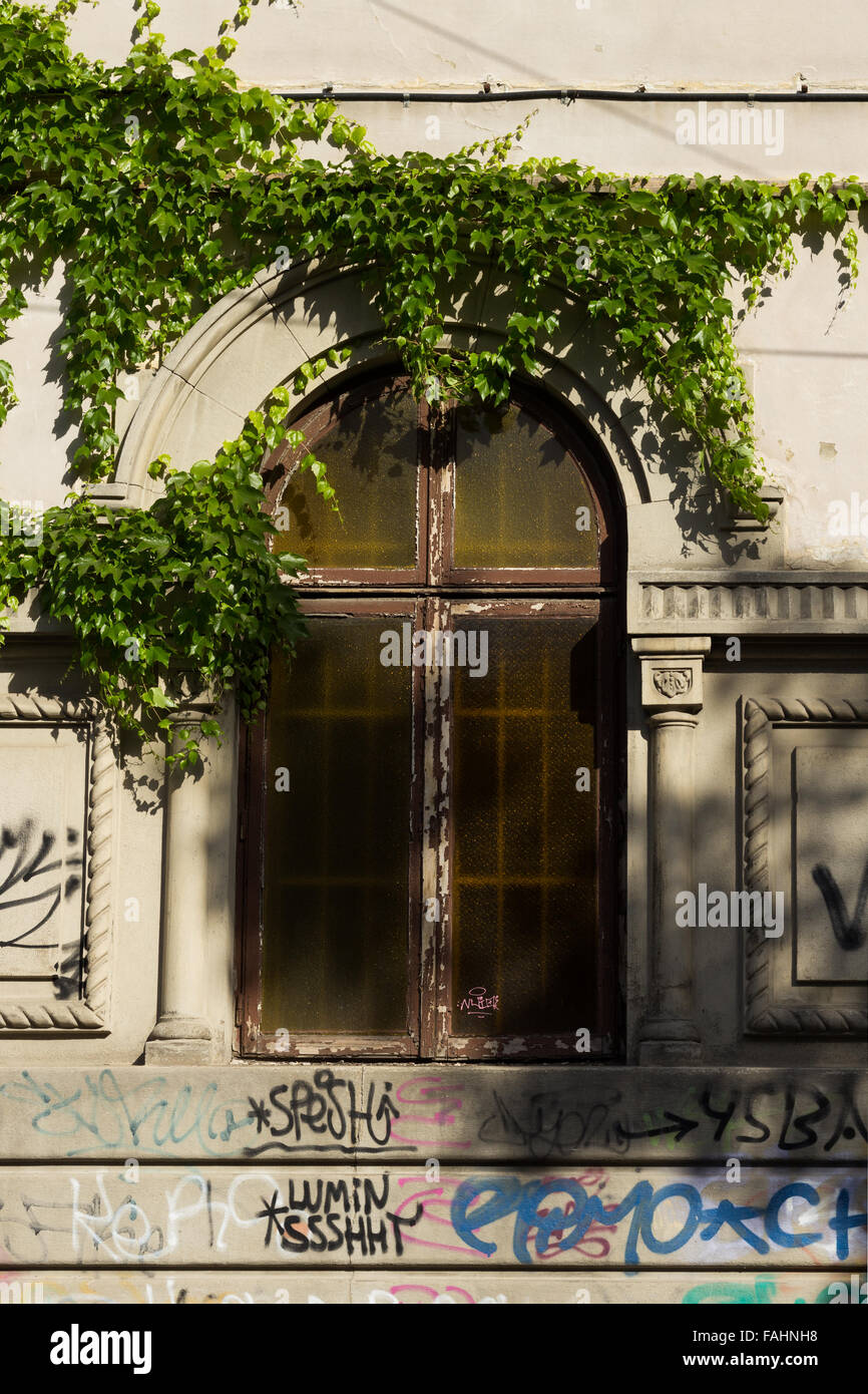 Les barres en acier avec fenêtre en verre foncé et d'un bâtiment de type classique français dans une journée ensoleillée, entourée de lierre vert Banque D'Images