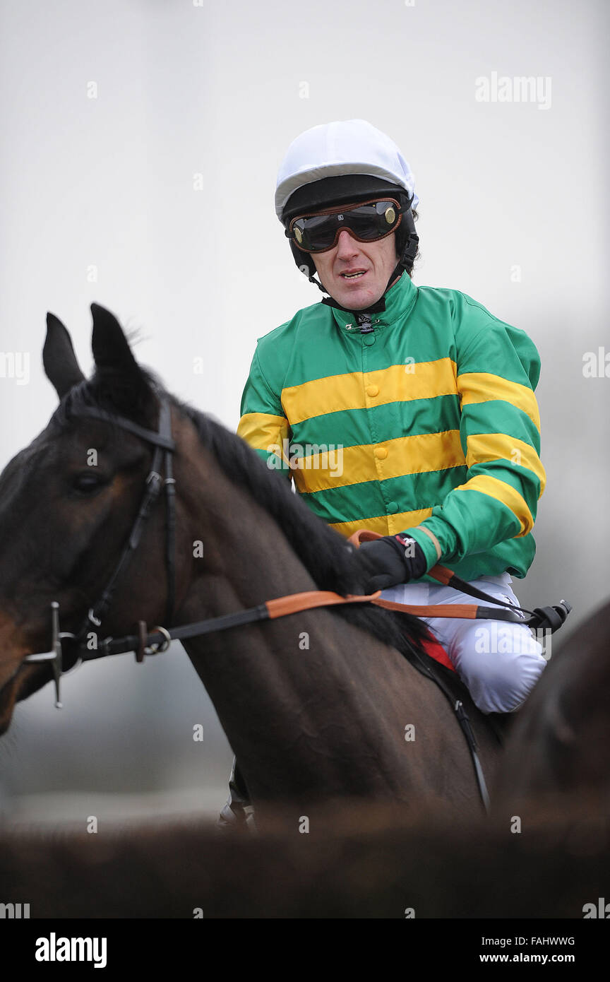 Jump to AP Jockey McCoy devient un chevalier dans la liste des honneurs du Nouvel An 2016 pour les services aux courses de chevaux Banque D'Images