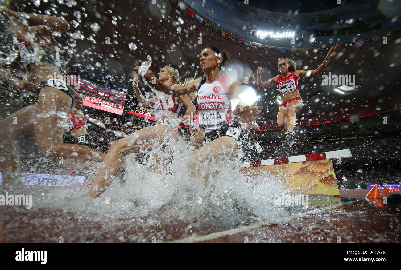 PHOTOS DE SPORTS XINHUA L'ANNÉE 2015 TRANSMIS LE 31 DÉCEMBRE 2015, les athlètes s'affrontent au cours du 3000m steeple finale aux Championnats du monde IAAF 2015 au 'nid d'oiseau' Stade national de Beijing, capitale de la Chine, le 26 août 2015. (Xinhua/Wang Lili) (WLL) Banque D'Images