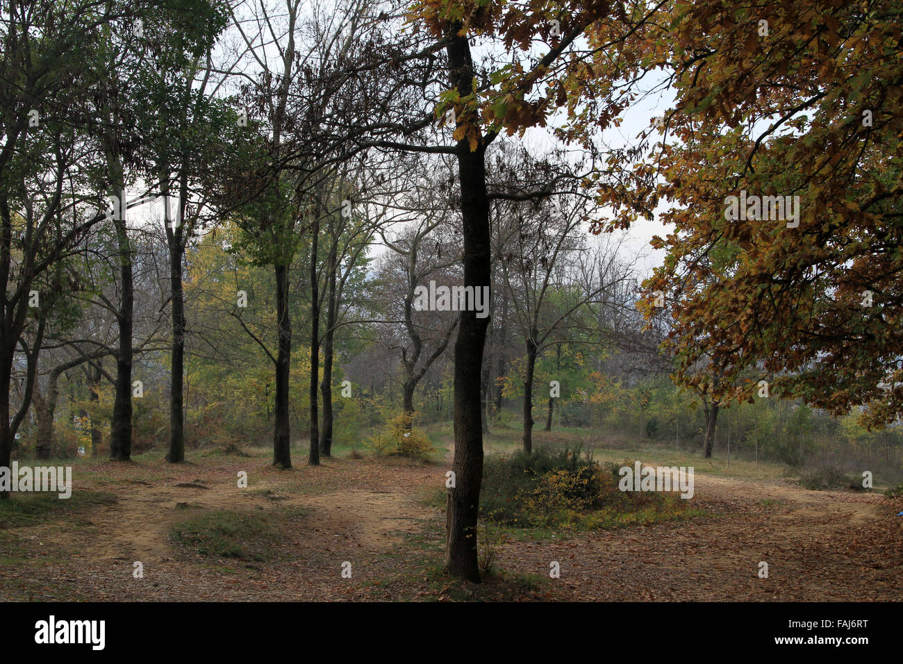 Tirana Park sur le lac artificiel Banque D'Images