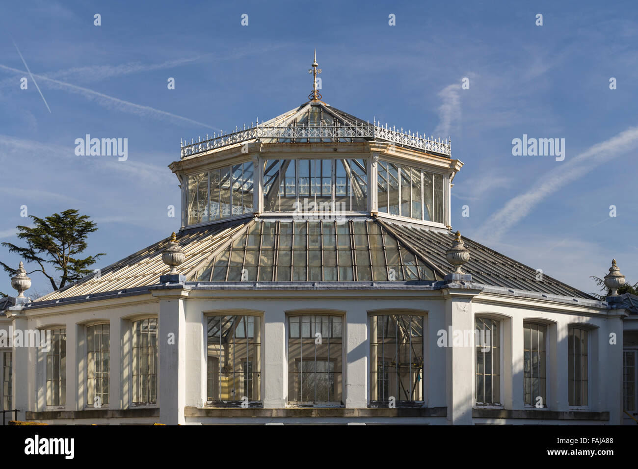Chambre tempérée, Royal Botanic Gardens, Kew, Londres, Angleterre, Royaume-Uni Banque D'Images