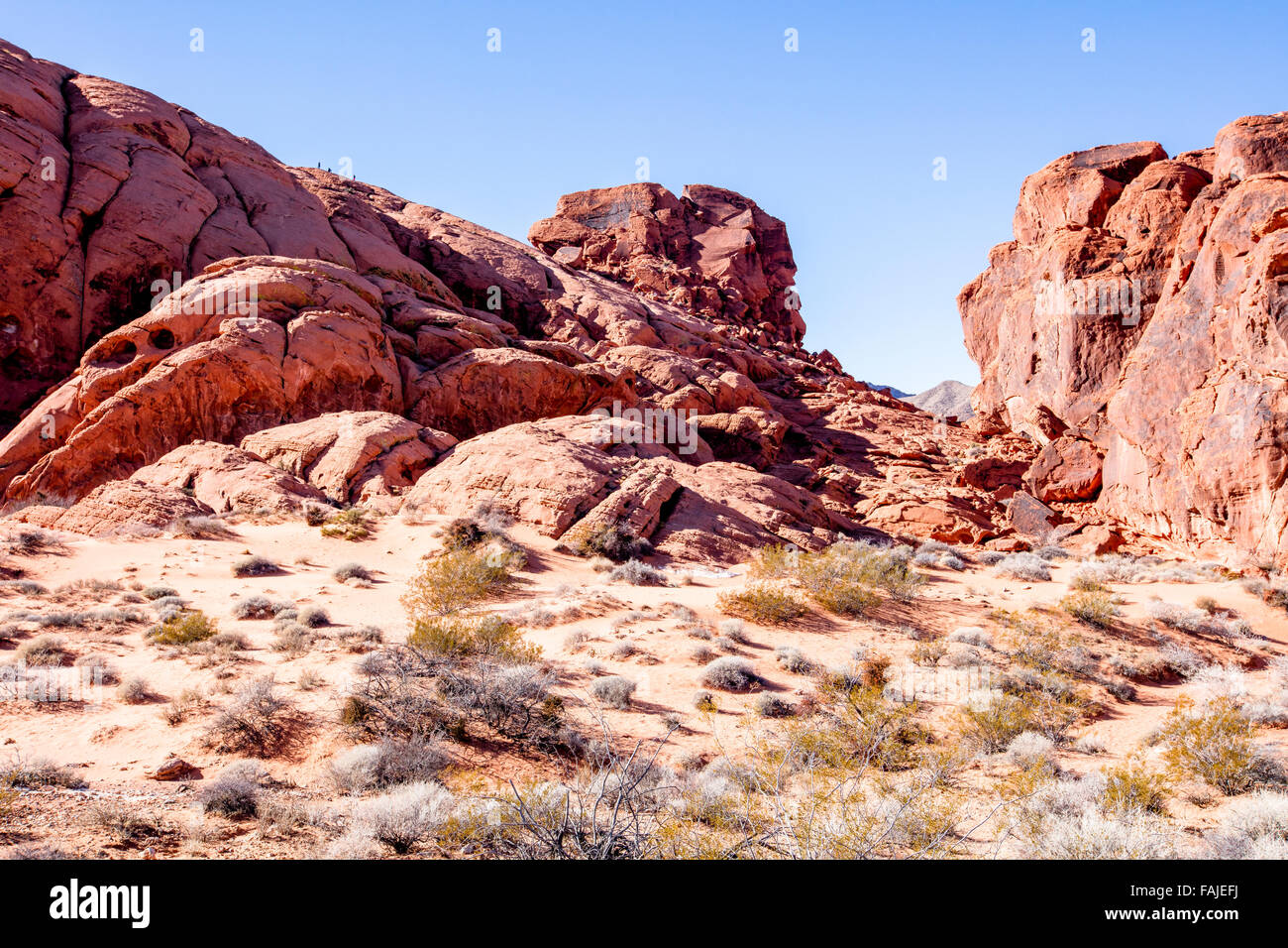 Vallée de Feu Park, Nevada Banque D'Images