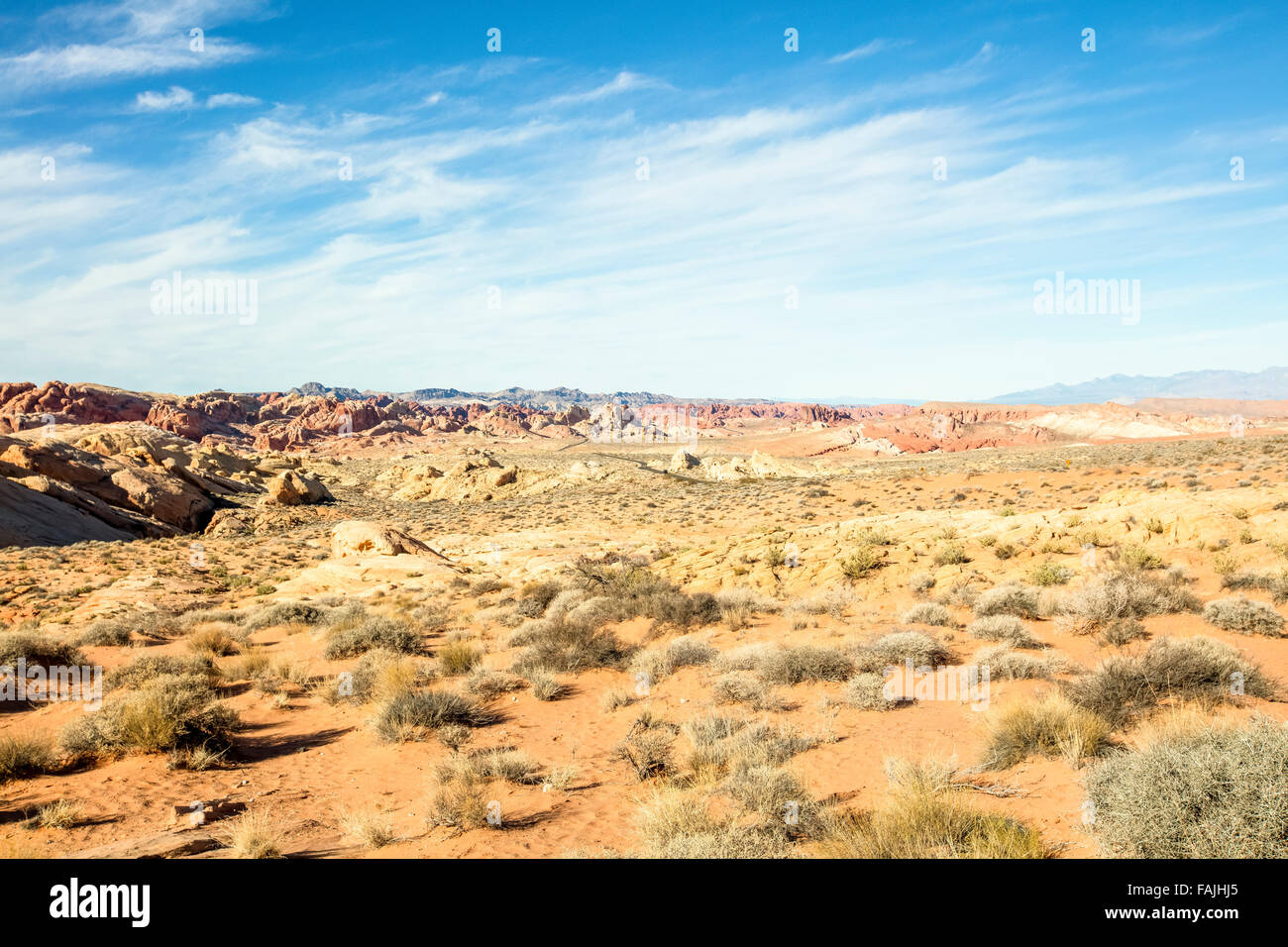 Vallée de Feu Park, Nevada Banque D'Images