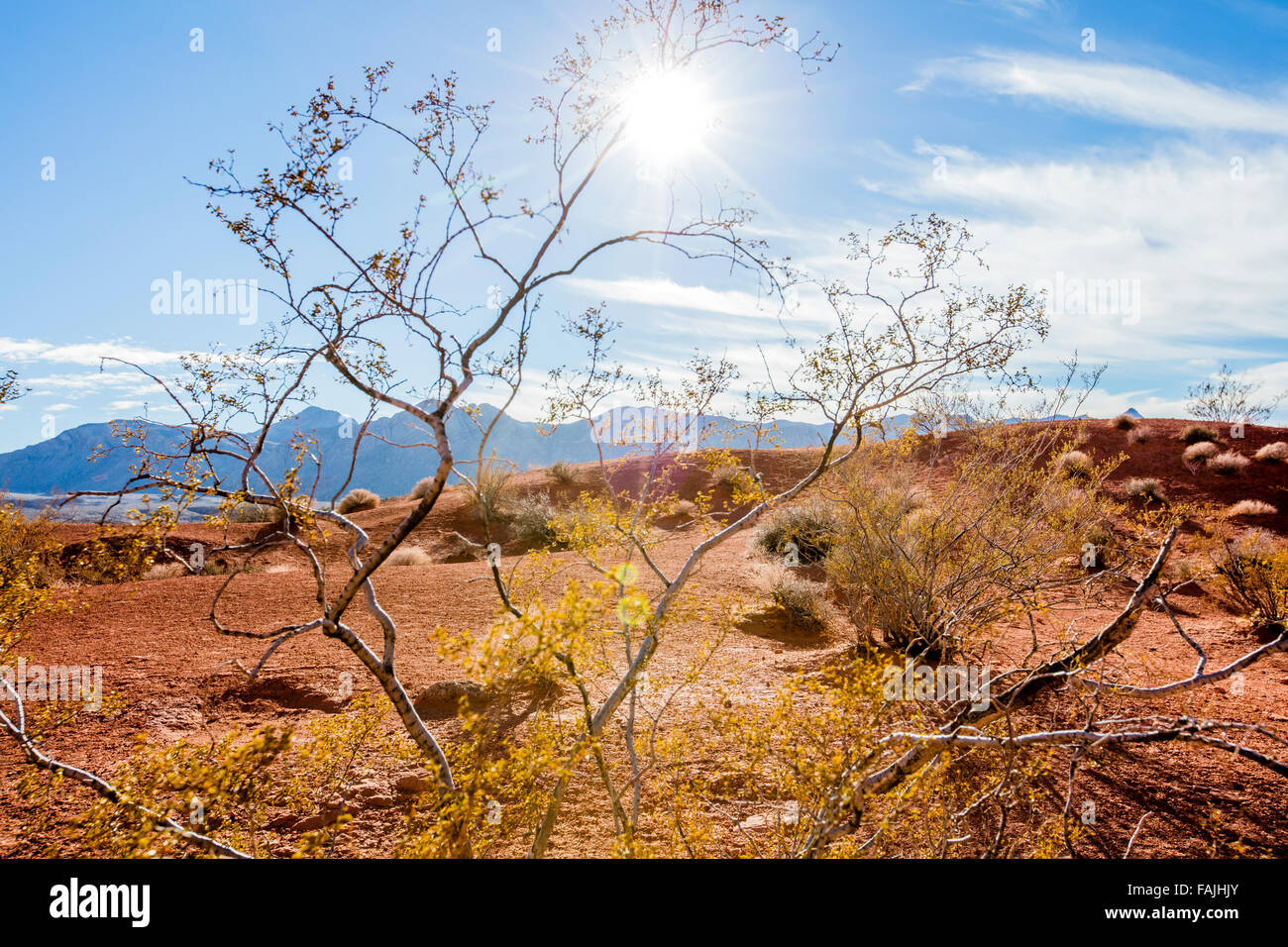 Vallée de Feu Park, Nevada Banque D'Images