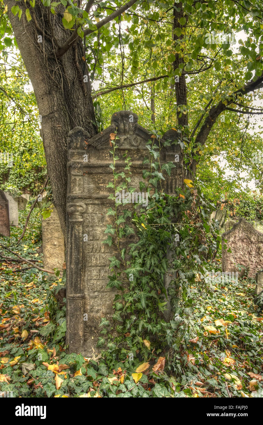 Vieux cimetière juif de Kolin Banque D'Images