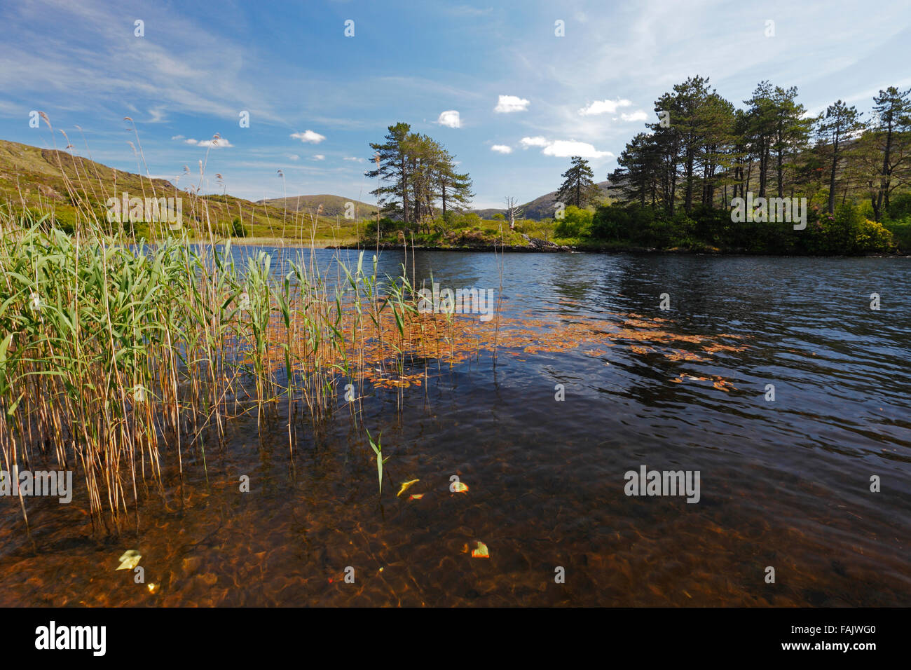 Lac près de Kenmare à la route de Gleninchaquin Park, Irlande Banque D'Images