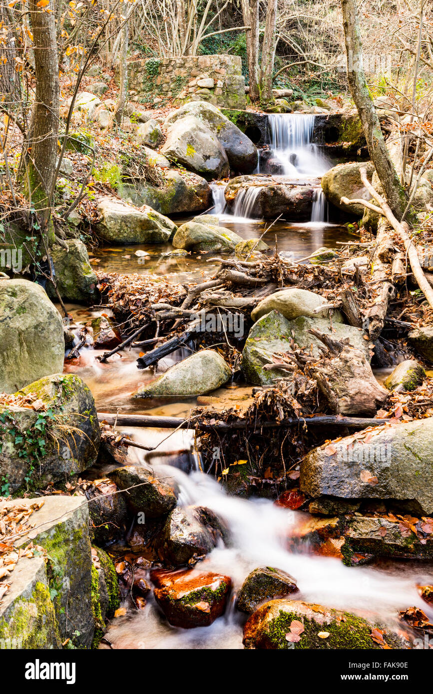 Un ruisseau coule à travers une forêt sur les rochers. Banque D'Images