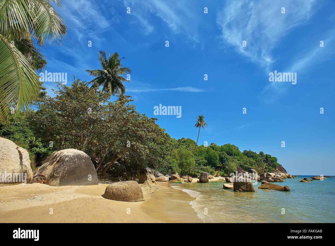 Palmiers sur la plage de l'île de Ko Samui, Thaïlande Banque D'Images