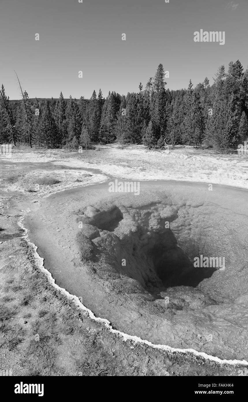 L'activité géothermique à Yellowstone National Park, Wyoming, USA Banque D'Images