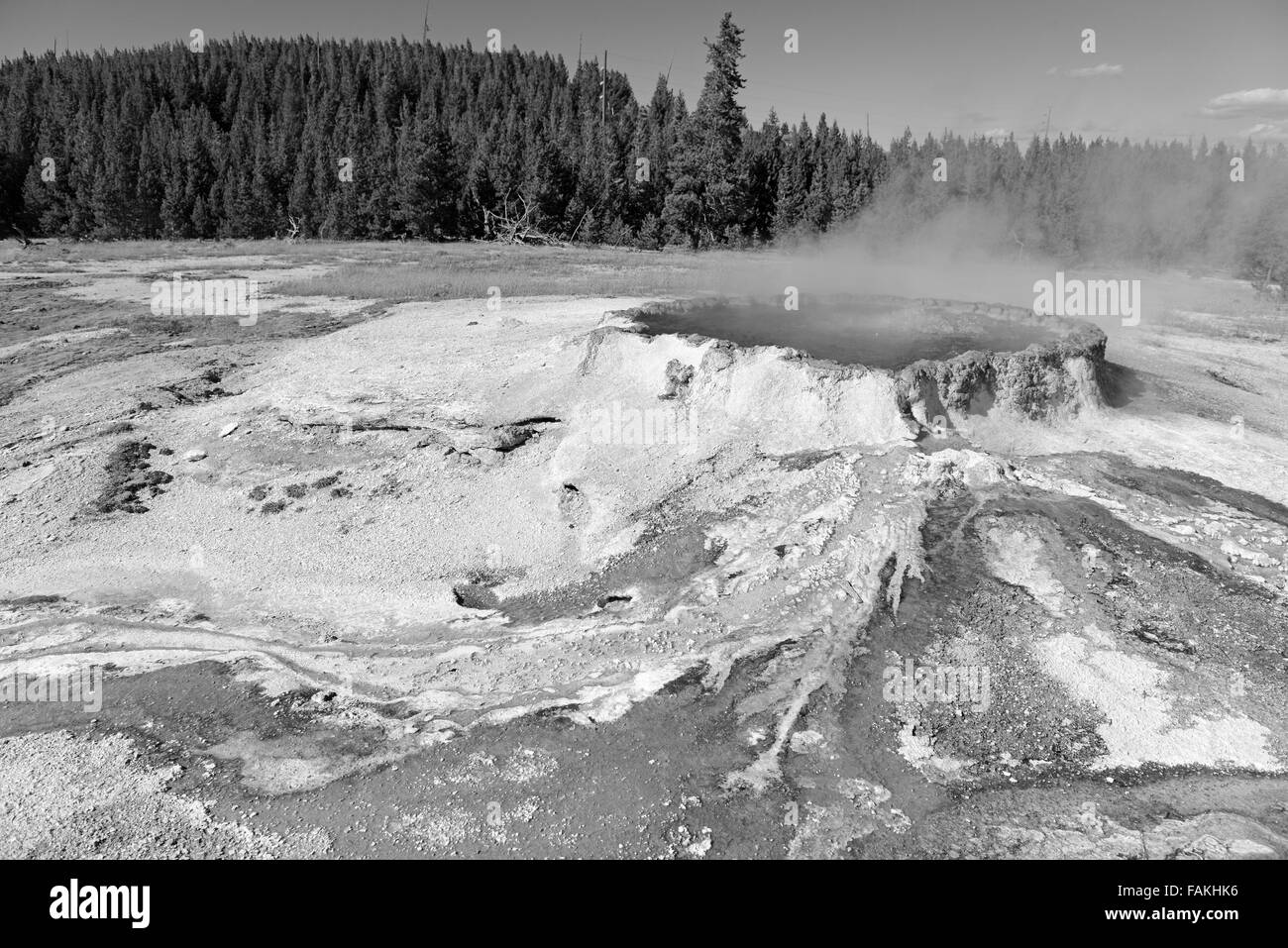 L'activité géothermique à Yellowstone National Park, Wyoming, USA Banque D'Images