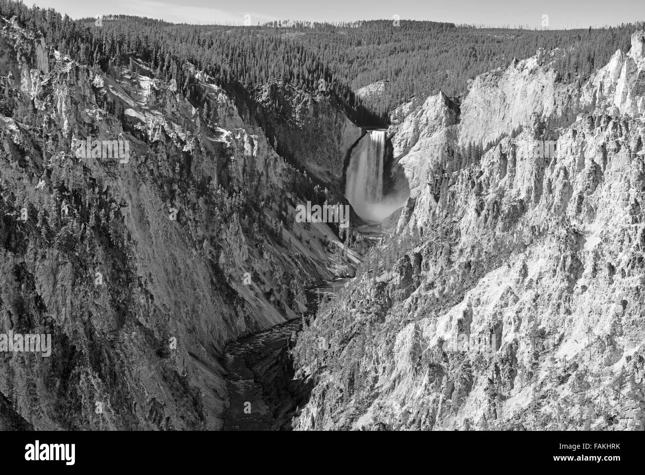 Yellowstone Falls, dans le Parc National de Yellowstone, Wyoming, USA Banque D'Images