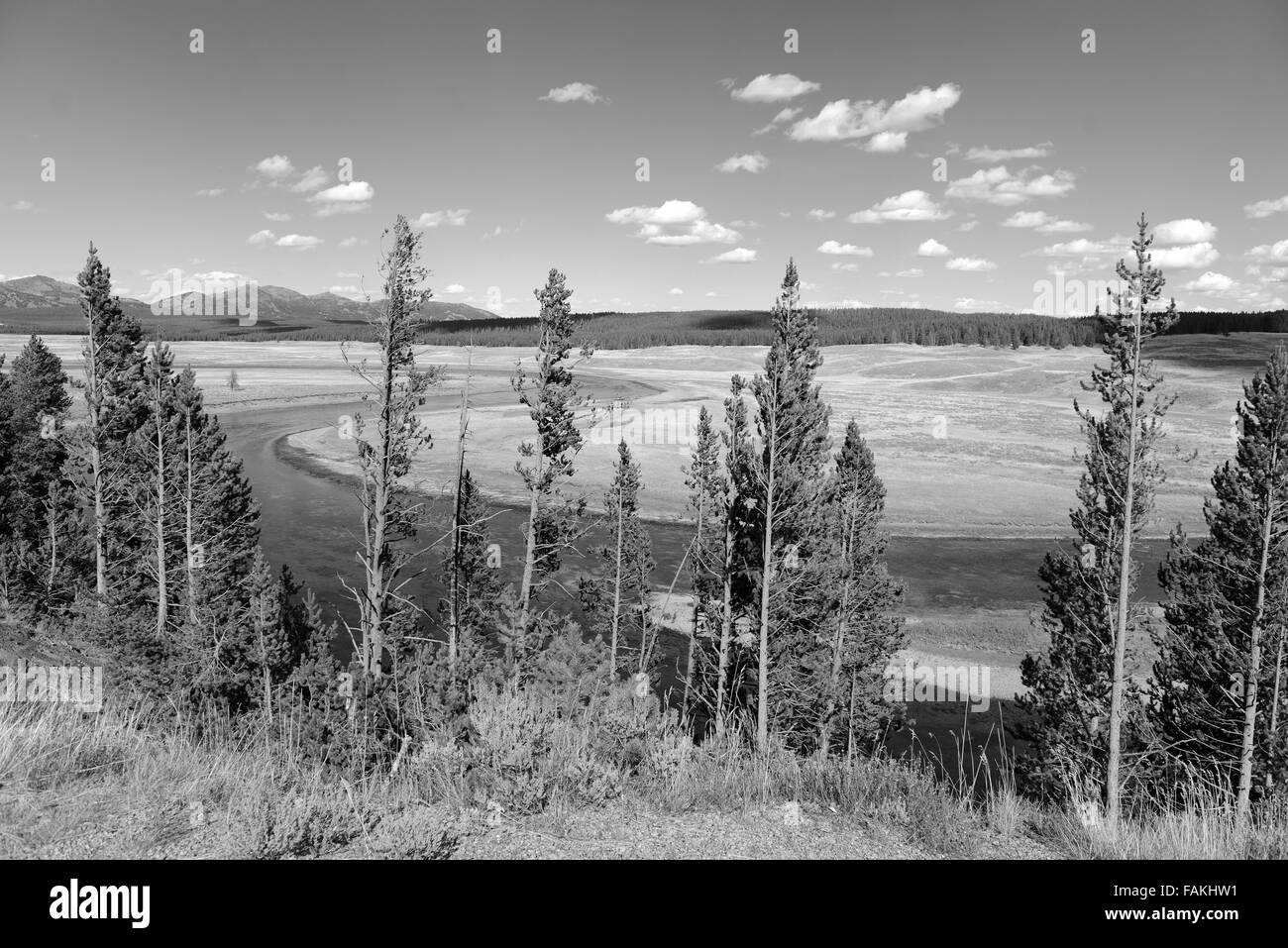 Le Parc National de Yellowstone, Wyoming, USA Banque D'Images