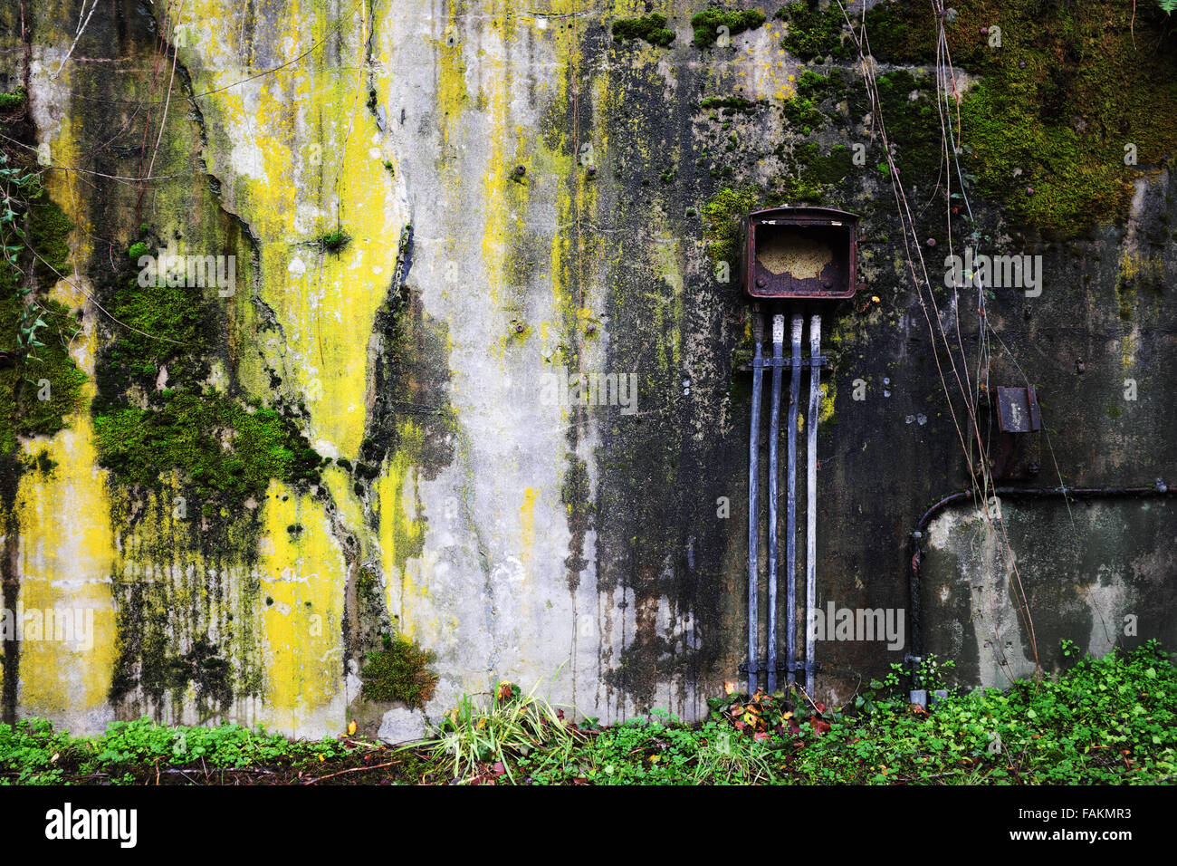 Rusty boîte électrique sur la mousse et les algues caisson en béton couvert de l'Artillerie, mur Hill, Fort Worden State Park, Port Townsend, a été Banque D'Images