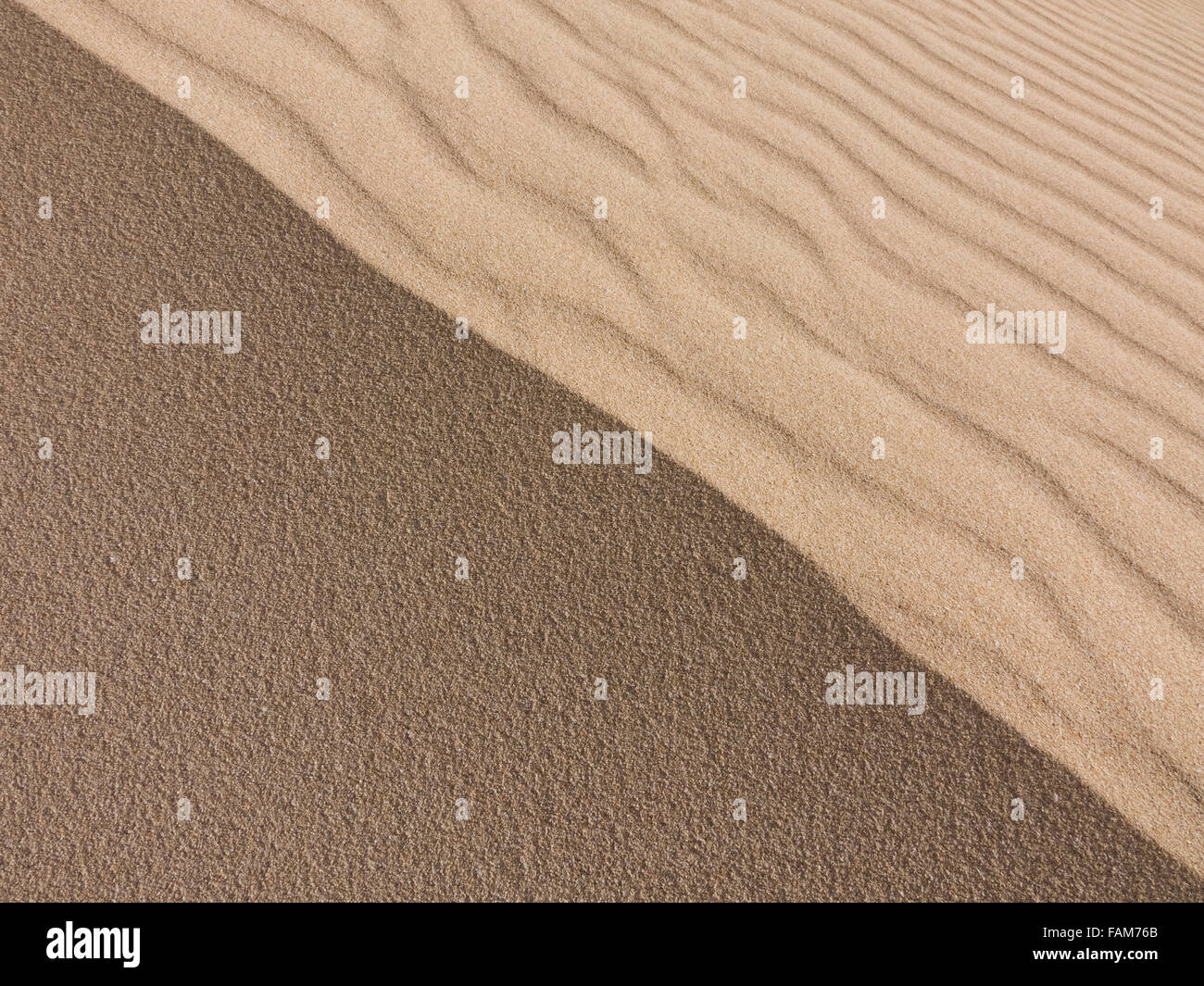 Les patrons de sable sur la réserve naturelle, Parc Naturel, Corralejo, Fuerteventura, Îles Canaries, Espagne. Banque D'Images
