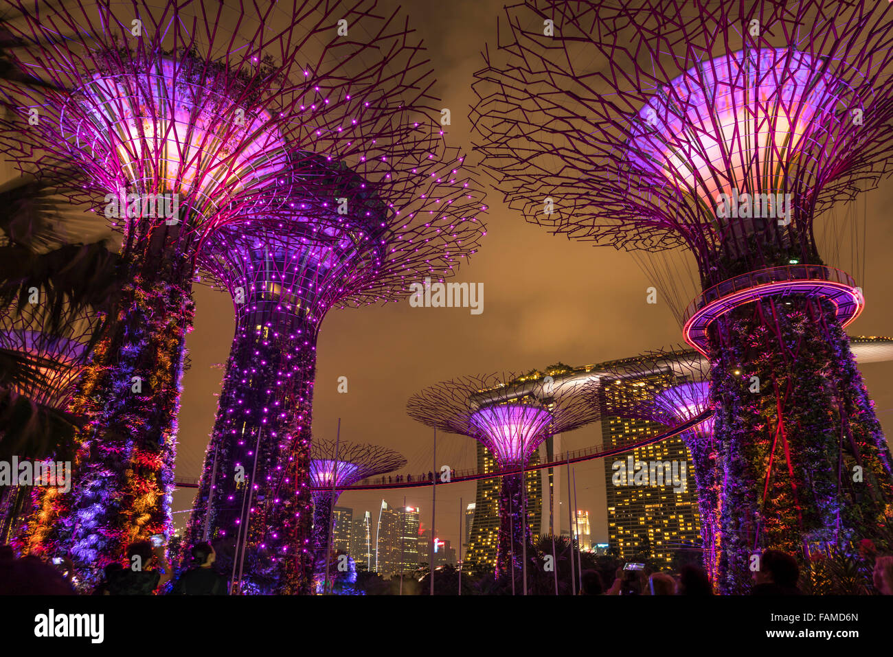 Super lit arbres, jardins, près de la baie, à Singapour, en Asie Banque D'Images