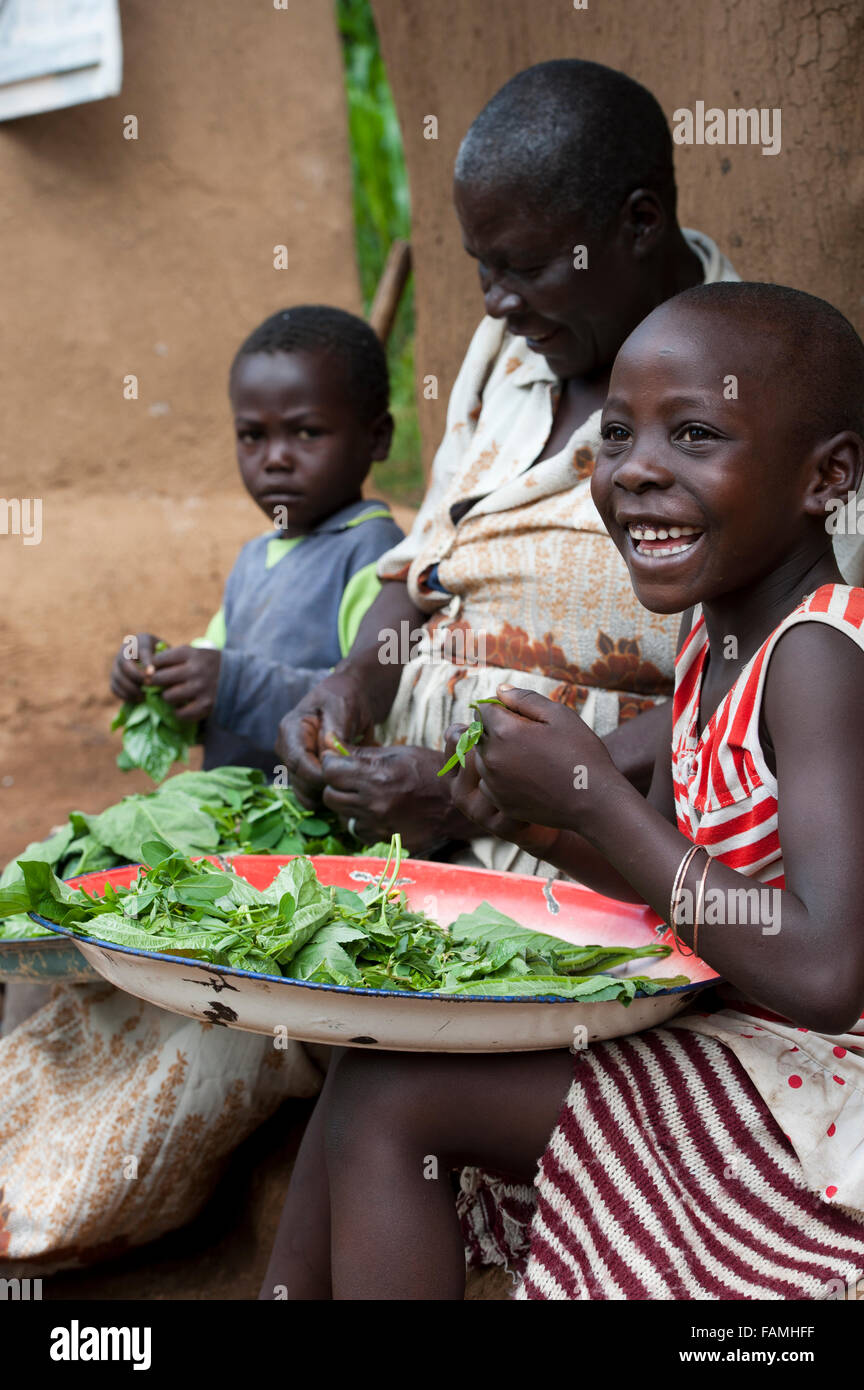 La préparation de la famille rurale feuilles vertes et herbes pour un repas, au Kenya. Banque D'Images