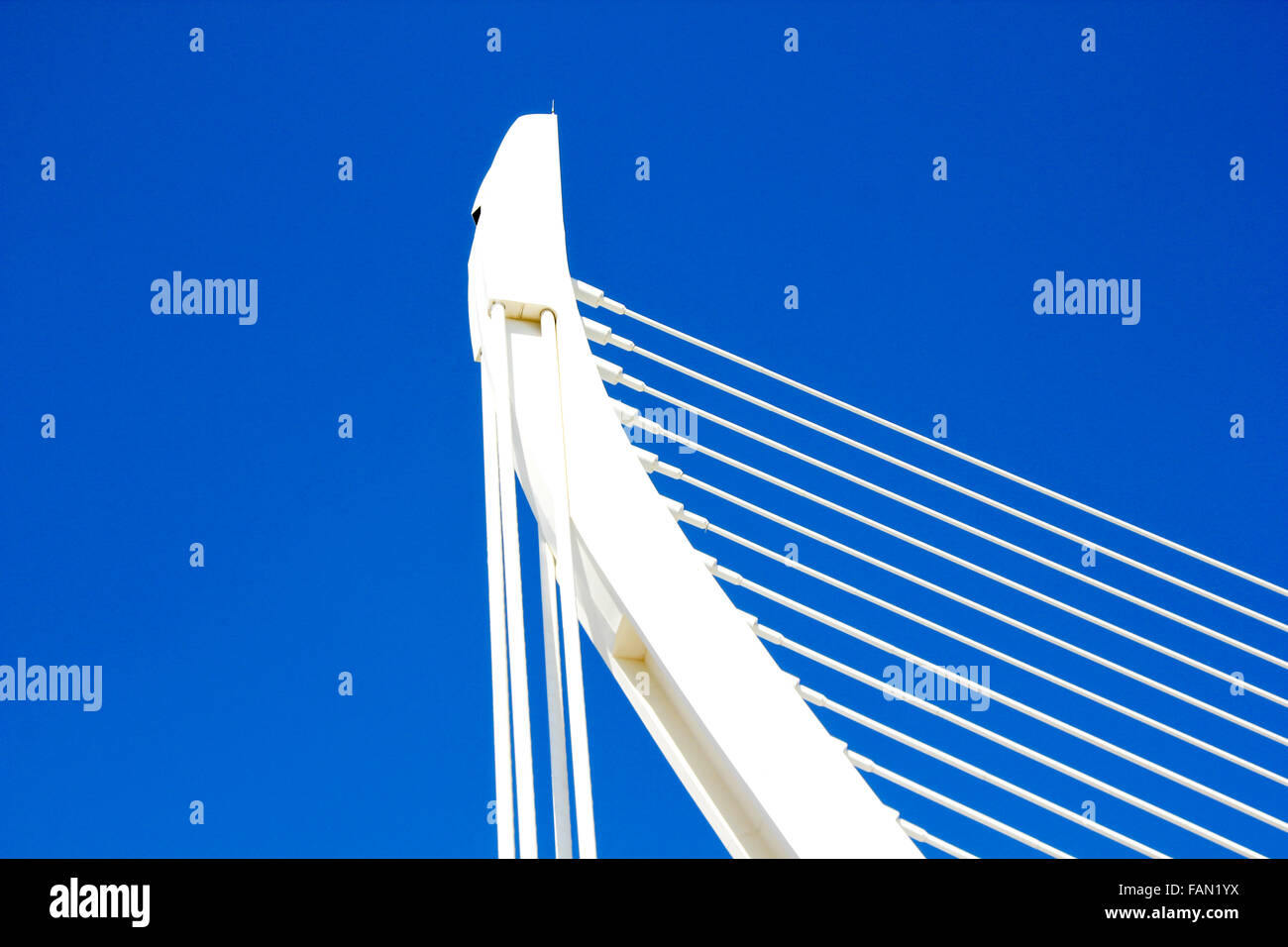 VALENCIA, Espagne - 30 septembre 2012 : Détail de la Cité des Arts et des Sciences de Valence, en Espagne. Ville a été conçue par Santiago Banque D'Images