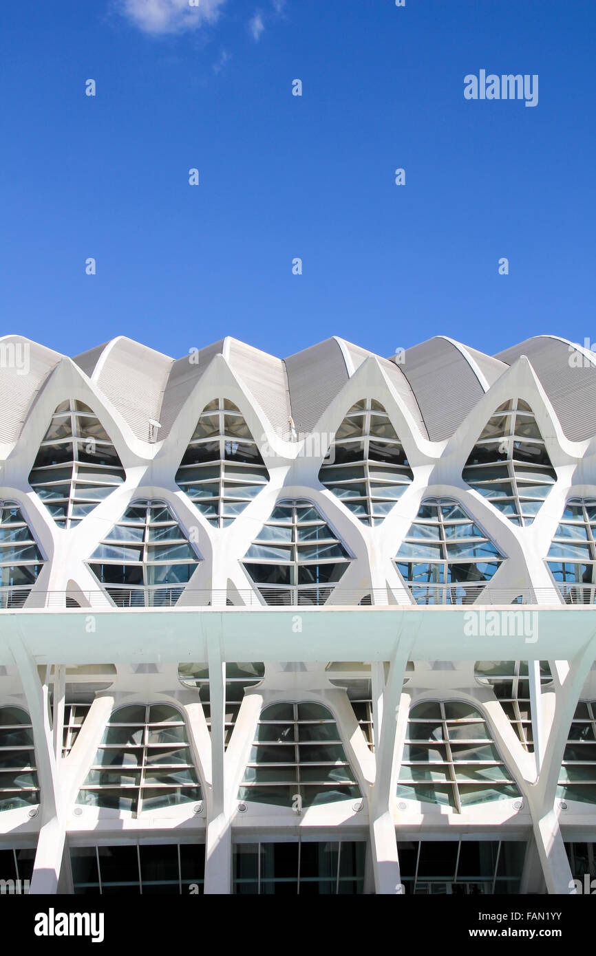 VALENCIA, Espagne - 30 septembre 2012 : Détail de la Cité des Arts et des Sciences de Valence, en Espagne. Ville a été conçue par Santiago Banque D'Images