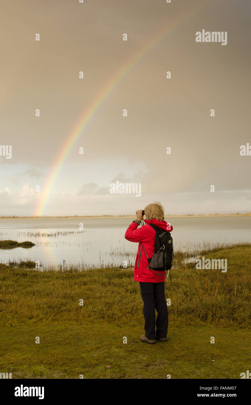 Voir plus de Pagham Harbour Réserve Naturelle. Près de l'église de Norton, Sussex. UK. Arc-en-ciel. Décembre. Banque D'Images