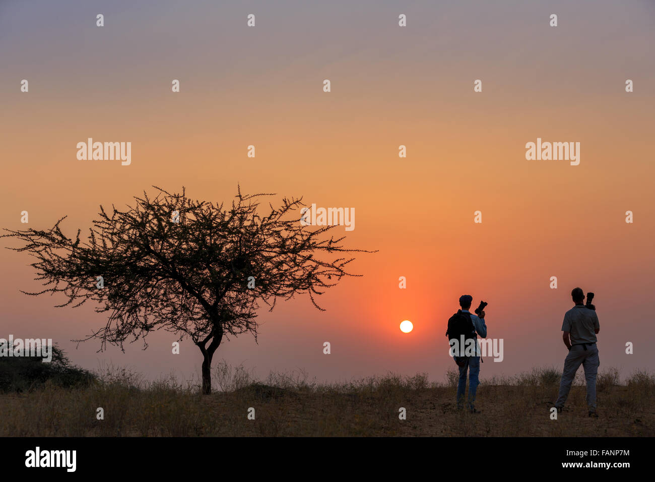 Deux photographes à regarder le coucher du soleil, Pushkar, Rajasthan, India Banque D'Images