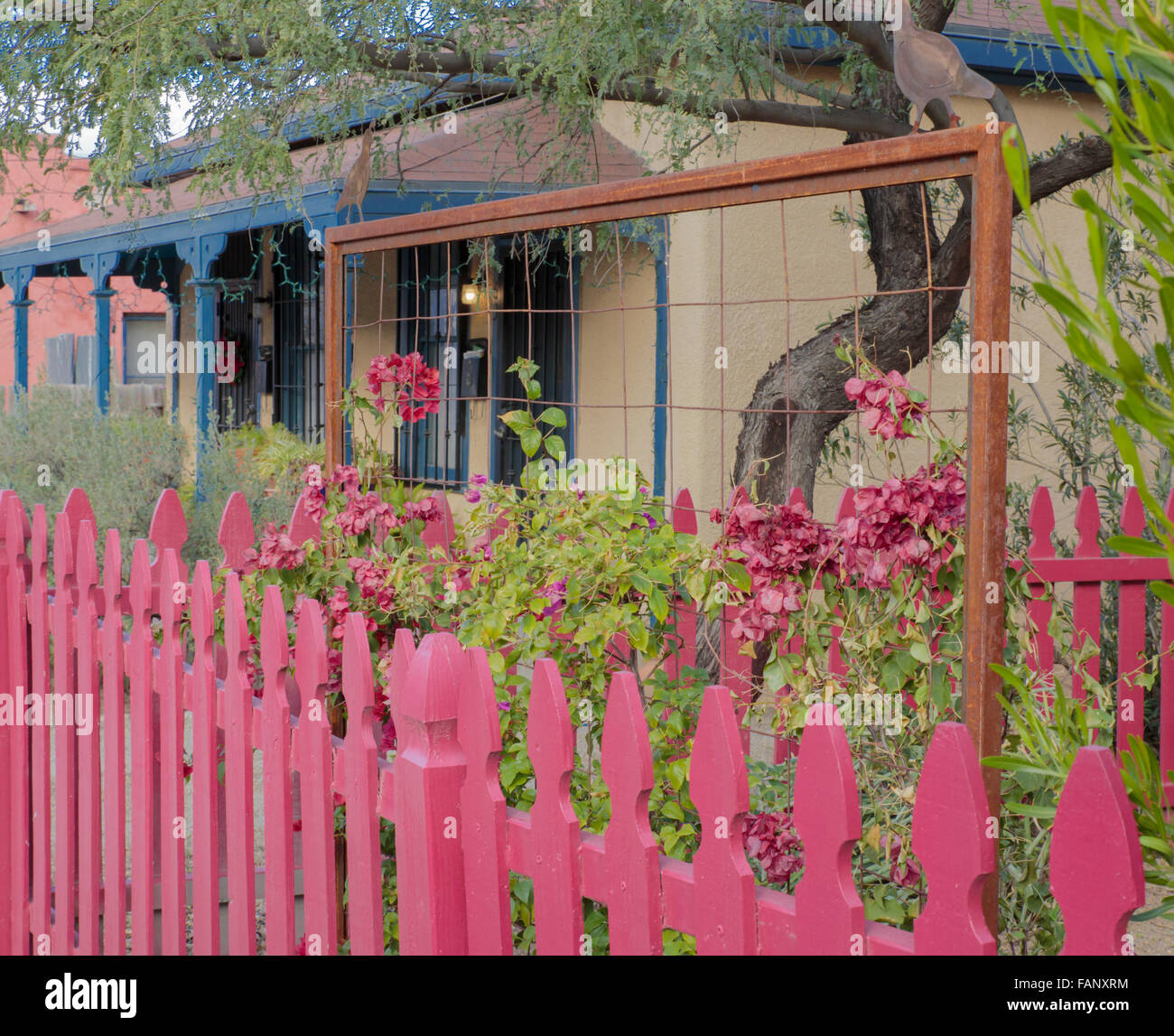 Les piquets de clôture dans une section urbaine de Tucson, Arizona, USA Banque D'Images