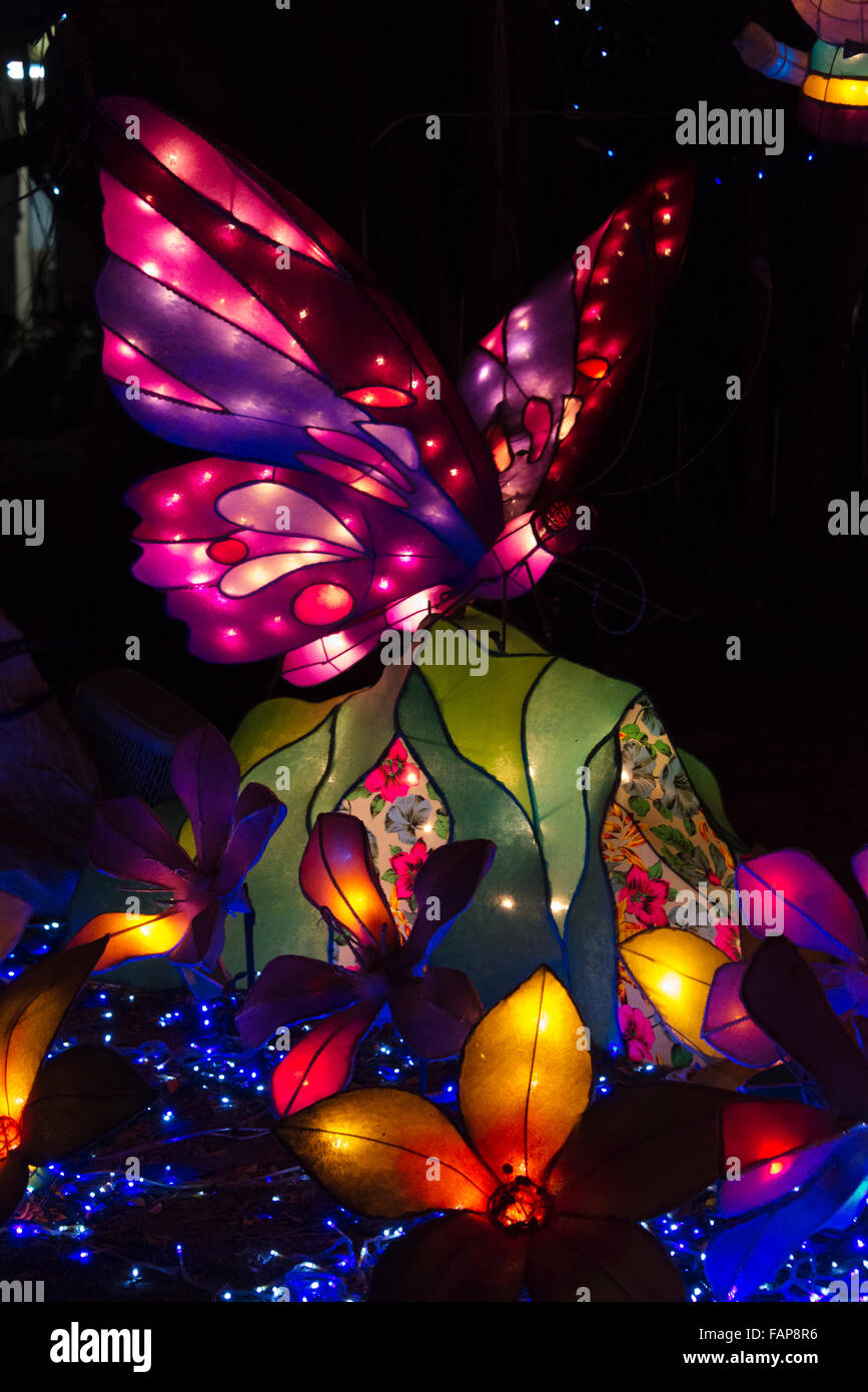 Lanternes papillon lors de festival de lanternes chinoises, Kaohsiung, Taiwan Banque D'Images