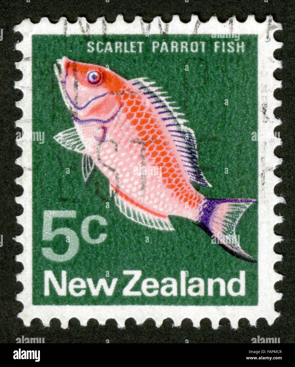 La NOUVELLE ZELANDE, poisson, poisson perroquet écarlate, mark post, stamp, post stamp Banque D'Images